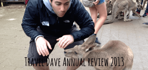 Travel Dave Annual review 2013