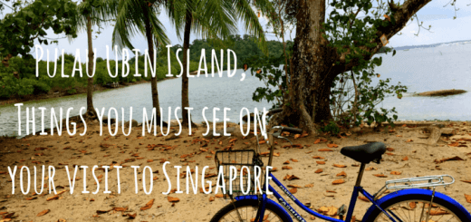 Pulau Ubin Island, Things you must see on your visit to Singapore