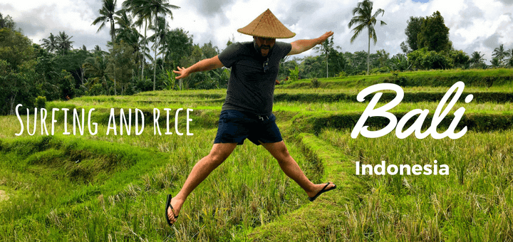 bali surfing and rice fields