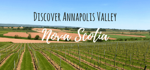 Discover Annapolis Valley: Wine, spirits and Craft beer in Nova Scotia, Canada