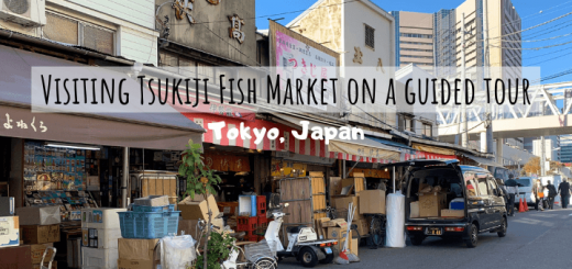 Visiting Tsukiji Fish Market on a guided tour in Tokyo, Japan