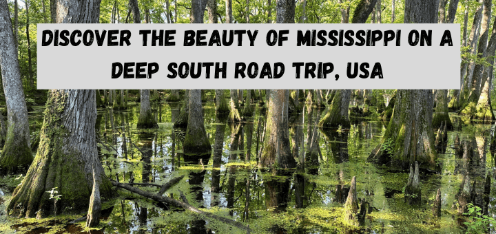 Discover the beauty of Mississippi on a Deep South Road Trip, US