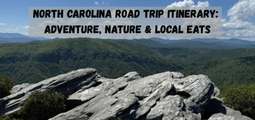 North Carolina Road Trip Itinerary: Adventure, Nature & Local Eats
